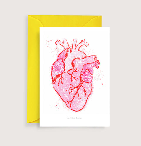 Anatomy heart (SKU 179)