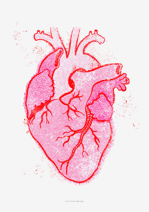 Anatomy heart (SKU 18)