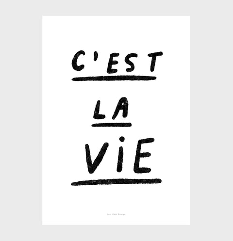 Cest la vie poster, french art print, quotes for bedroom wall